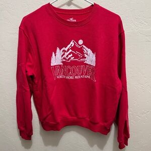 Hollister crewneck sweatshirt M